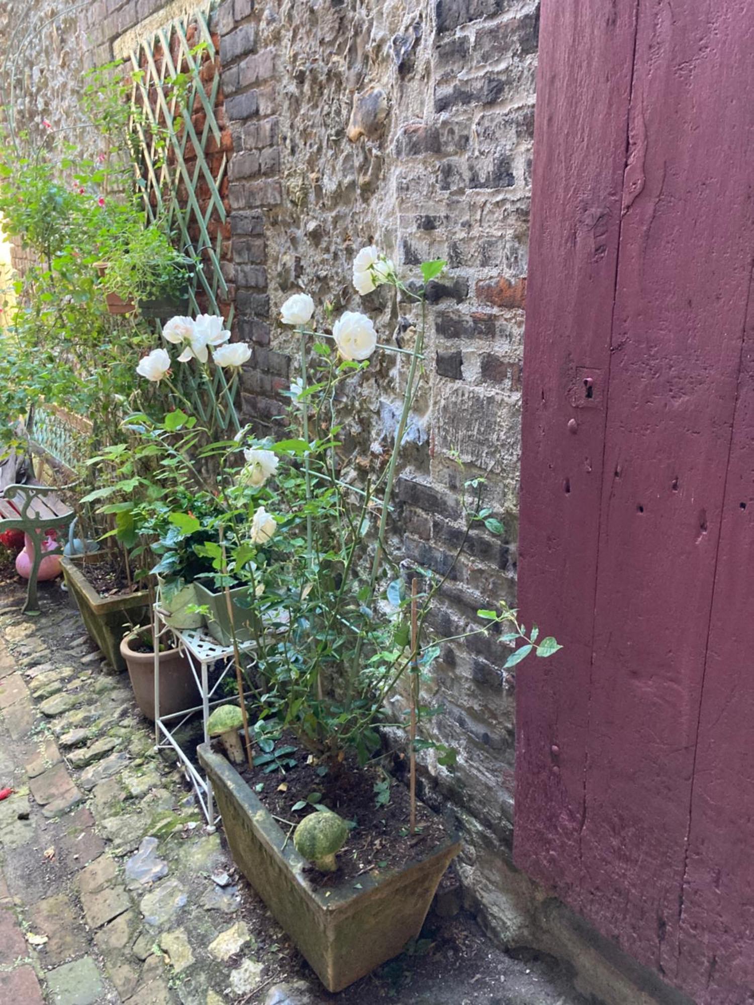 La Maison Belle Maree Honfleur Eksteriør bilde