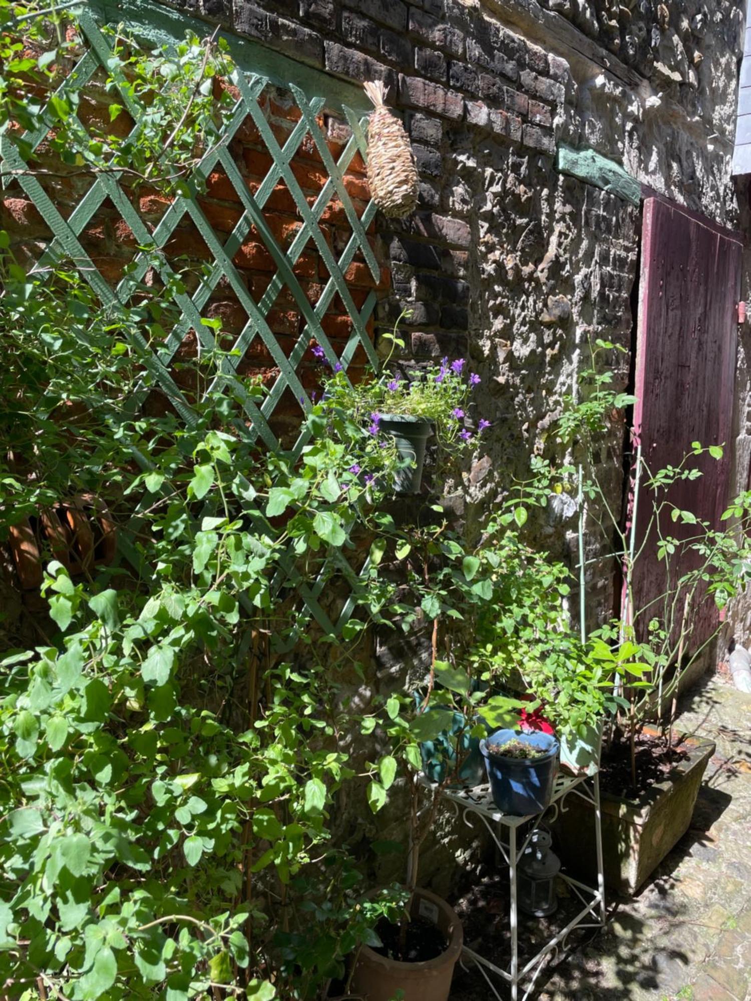 La Maison Belle Maree Honfleur Eksteriør bilde